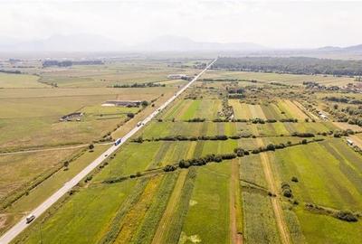 Teren extravilan Lunca Calnicului langa E574 - 14