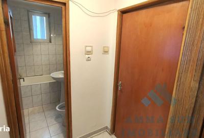 Apartament cu 3 camere semidecomandat, mobilat în Ozana - 12