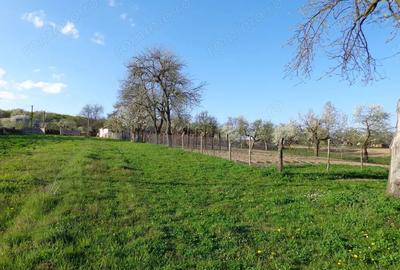 Casă cu 5 camere cu Teren 6000 Mp în Buda (Lespezi) - 1