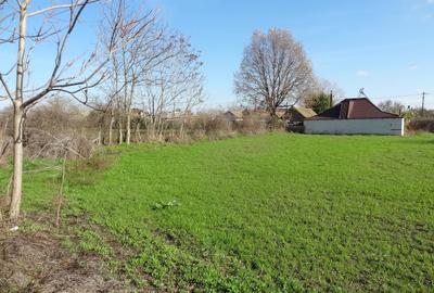 Teren cu casa, 3600mp, 4 camere de vanzare in Nicolae Balcescu - 2