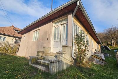 Casă individuală cu 5 camere cu Teren 1116 Mp în Valea Doftanei - 3