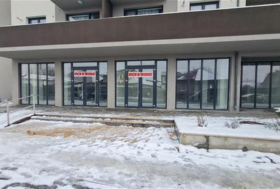 Spațiu comercial, de 245 mp, în Central - 4