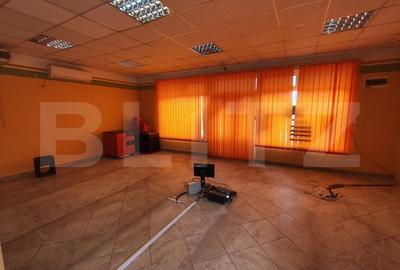 Casa de vanzare in Biharia - 13