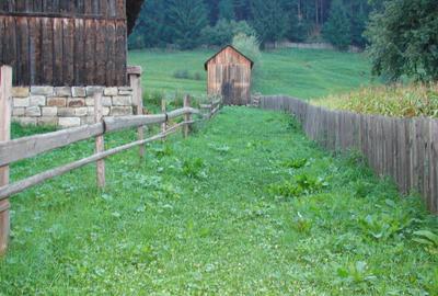 5283 mp TEREN INTRAVILAN IN ZONA TURISTICA MONTANA BUCOVINA, VAMA - SUCEAVA - 15
