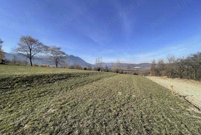Teren intravilan zona Bran-Tohanita, judetul Brasov intre 500 si 1000 mp la 5 km de Moieciu - 5