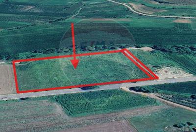 Teren de 17250 mp, în Moșna - 9