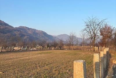 Teren de 3111 mp, în Feldru - 7