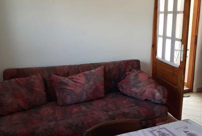 Casă cu 2 camere în Sintea Mare - 3