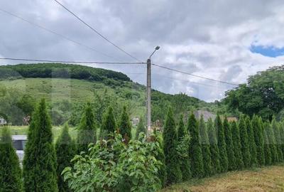 Casa de vanzare, zona deosebita , teren generos,Sali? - 6