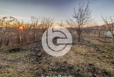 Casa individuala Sibiu - Un singur nivel - Teren 1310Mp - 2 - 12