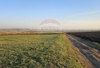 Teren agricol extravilan de 10200 mp, în Stroiești - 10