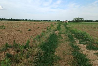 Teren agricol intravilan de 10000 mp, în Periș - 6