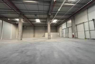 Inchiriere depozit/hala/spatiu industrial Theodor Pallady - A2 - 7