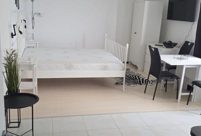 Garsonieră semidecomandată în Deve - 3