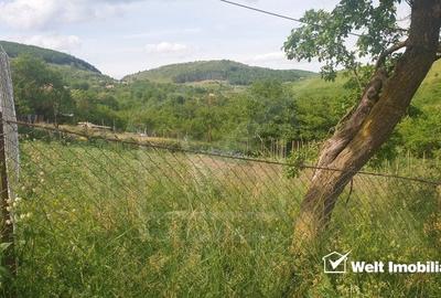 Teren autorizat, 800 mp, Ciurila - 3