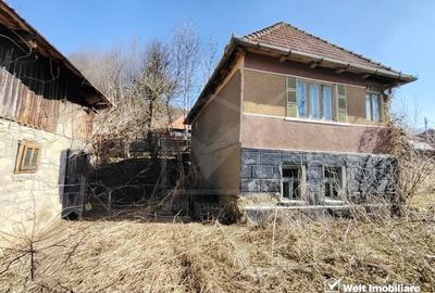 Teren Construcții intravilan de 2946 mp, în Micești - 4