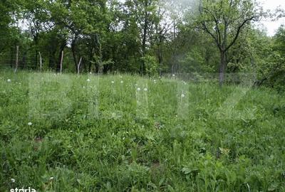 Teren de 884 mp, în Runcu - 3