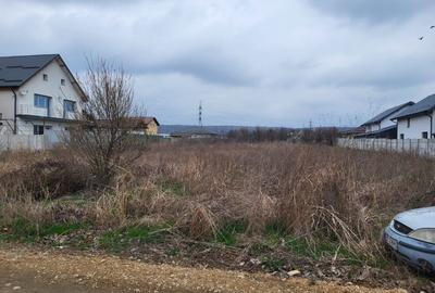 Teren Construcții intravilan de 10000 mp, în Bariera Vâlcii