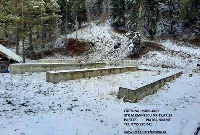 Teren de 10000 mp, în Vad - 1