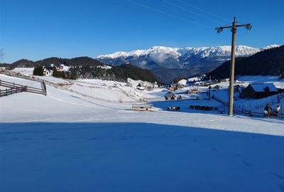 Teren Intravilan Fundata 1421Mp - 5