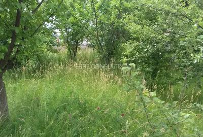 Casa situata in carttierul rezidential Domnesti - 1