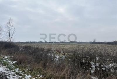Teren de 26000 mp, în Inand - 7