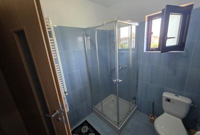 Casa Rosu Chiajna 170000 euro - 11