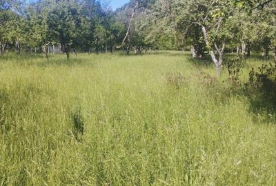 Casă cu 2 camere în Buciumi - 1