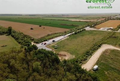 Teren premium, intre doua paduri, acces asfaltat din DN1A, vizitati eForest! - 8