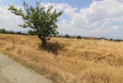 Teren de 600 mp, în Central - 2