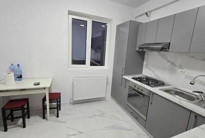 Penthouse de inchiriat Craiovei - 2