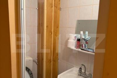 Apartament 3 camere, decomandat, 65mp, 2 bai, Tomesti - 4