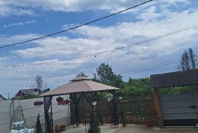 Casă cu 3 camere în Smeura - 5