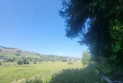 Teren de 5000 mp, în Gura Humorului - 2