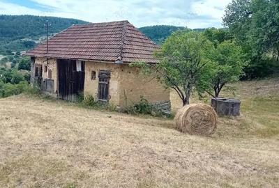 Casă cu 2 camere cu Teren 13420 Mp în Central - 3