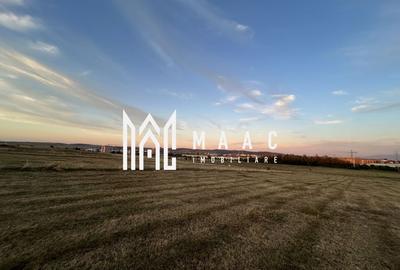 Teren Intravilan  I 8000 MP |  Priveliște Panoramică | Turnișor - 1