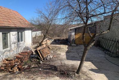 Casă cu 4 camere în Tărtăria - 6