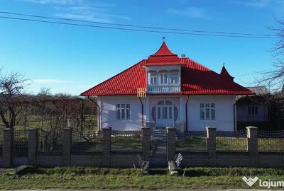 Casă cu 6 camere cu Teren 12500 Mp în Sasca Mică - 17