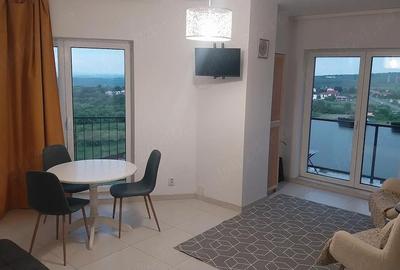 Apartament cu 2 camere semidecomandat în Bună Ziua - 8
