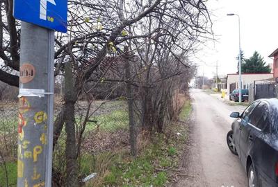 Teren în Palazu Mare