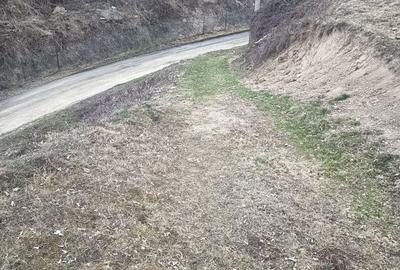 Teren de 2700 mp, în Exterior Vest - 3