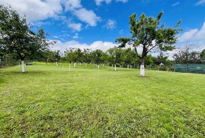 De vanzare doua case - 9