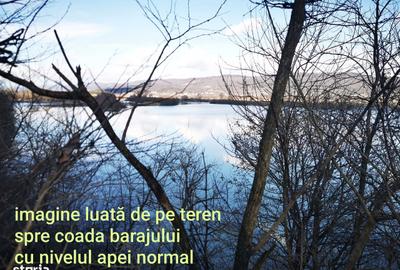 Teren de 2400 mp, în Merișani - 6