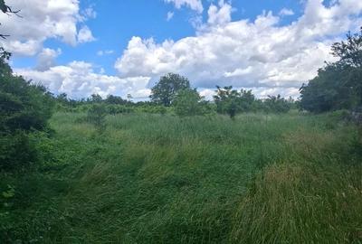 Teren de 5500 mp, în Vernești - 3
