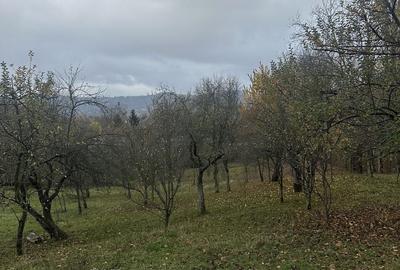 Teren de 1800 mp, în Cornu