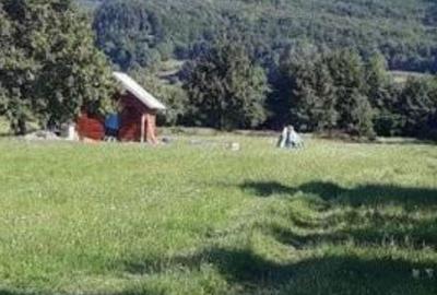 Teren de 6879 mp, în Dumbrăveni - 8