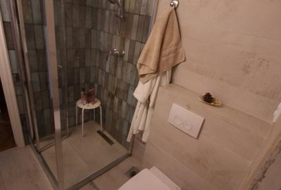 Apartament cu 2 camere semidecomandat, mobilat în Herăstrău - 10