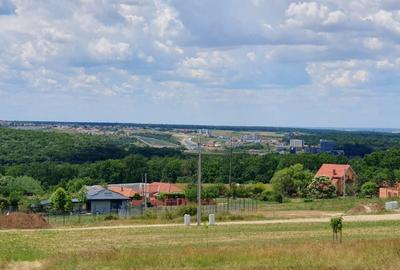Teren de 700 mp, în Sânmartin - 1