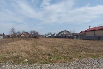 Teren superb in Serbanesti - 3