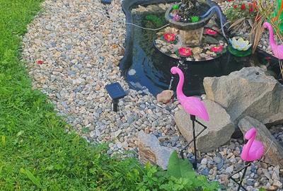 Casă cu Teren 1000 Mp în Central - 1